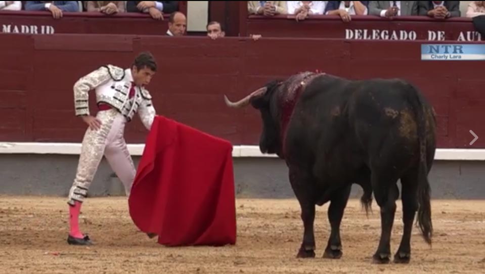 San Isidro / El resumen en video de la corrida de Cuadri