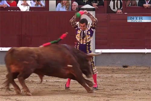 San Isidro / El resumen en video de la corrida de hoy