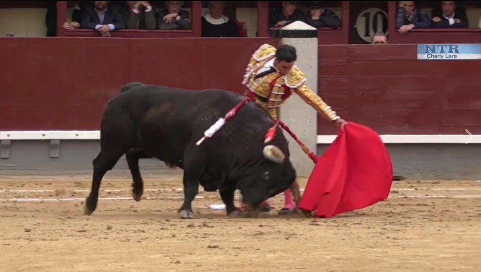 San Isidro / El resumen en video del festejo de hoy