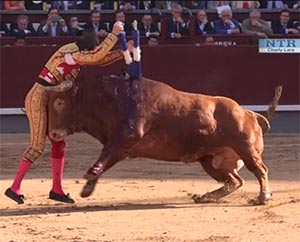 San Isidro / El resumen en video del festejo de hoy