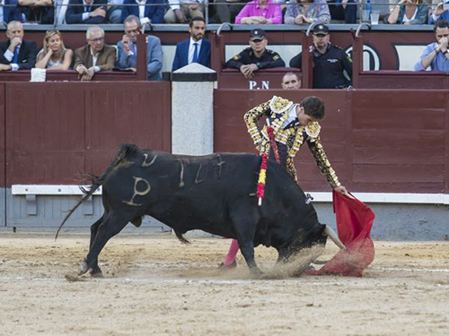 SAN ISIDRO / EL APUNTE / MAGIA