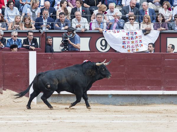 SAN ISIDRO / EL APUNTE / … Y ADEMÁS ES IMPOSIBLE